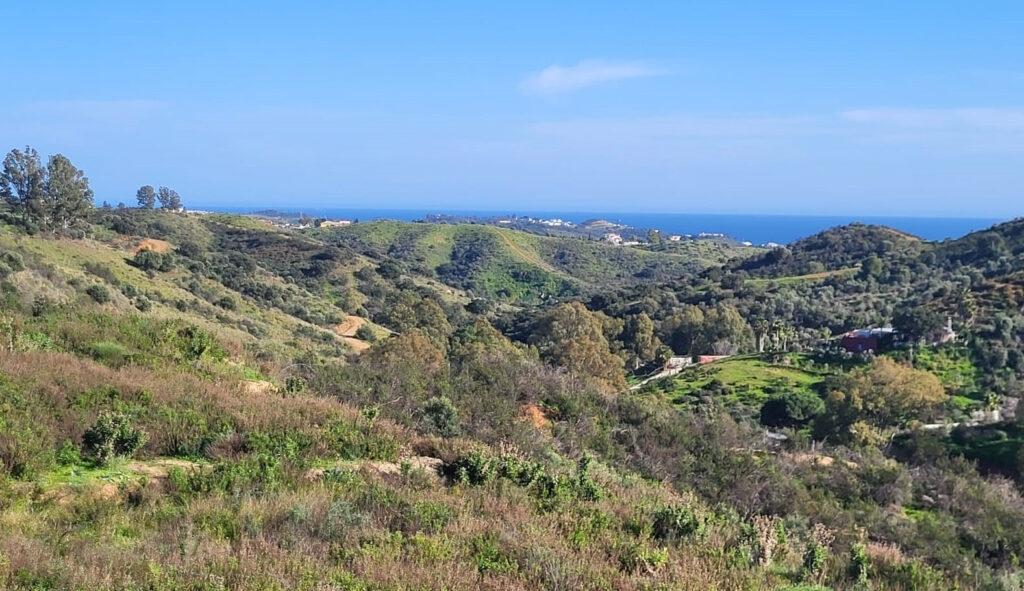 Plot – La Cala Golf Resort – Mijas Costa – 259