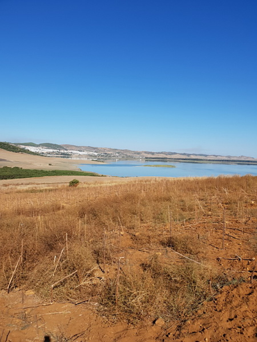 Plot – Arcos de la Frontera – 395