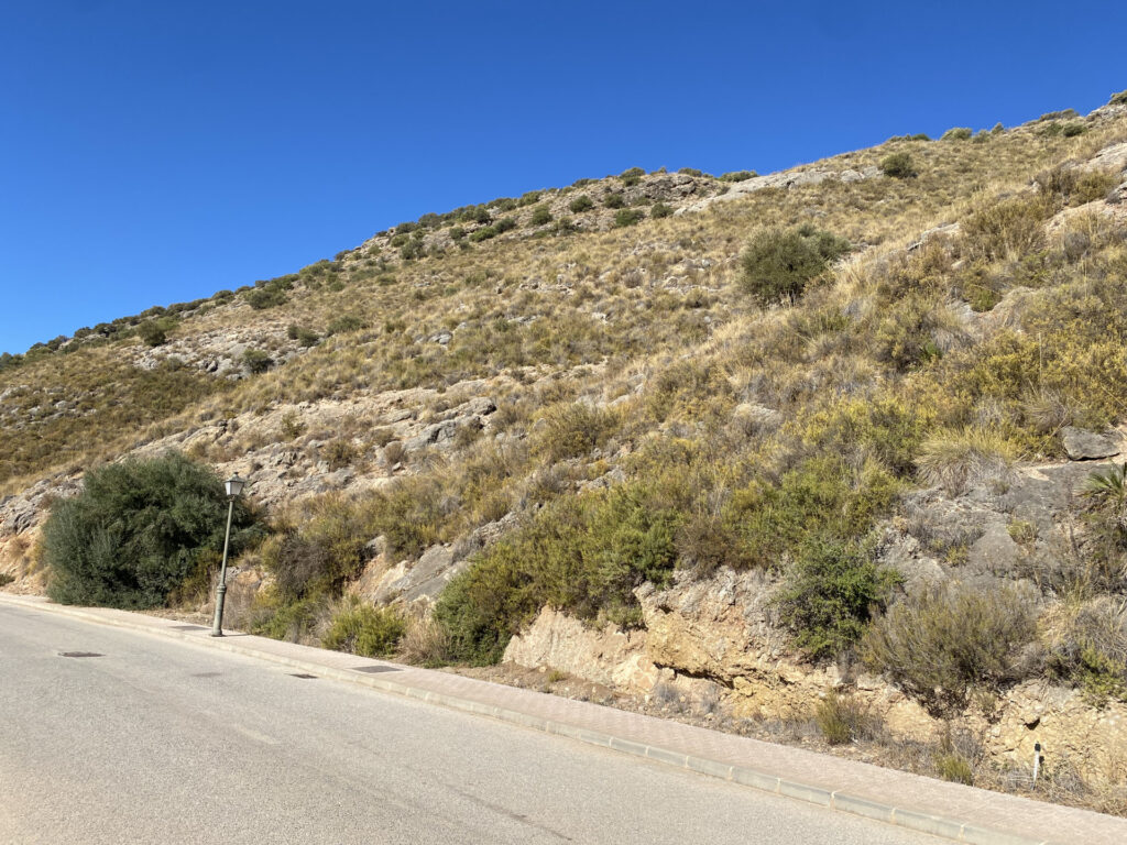 Plot – Sierra Gorda – Coin – 318