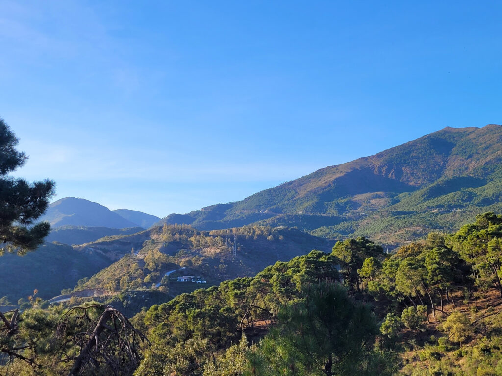 Plot – La Zagaleta – Benahavis – P